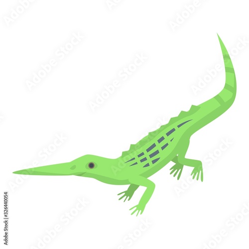 Long nose lizard icon. Isometric of long nose lizard vector icon for web design isolated on white background