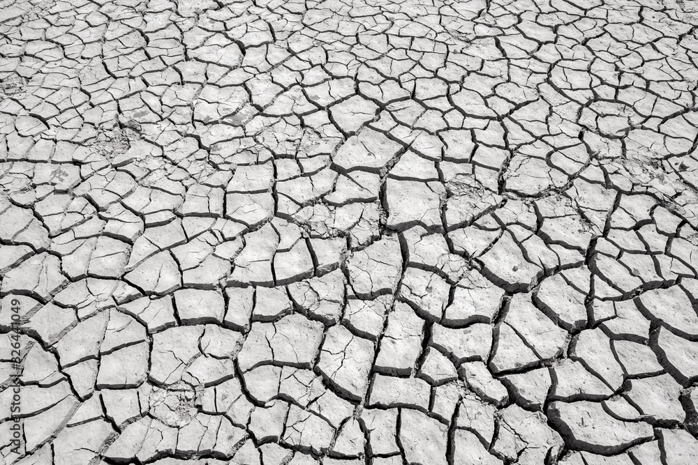 Cracked and broken ground earth on summer season Cracked and broken ground earth on summer season