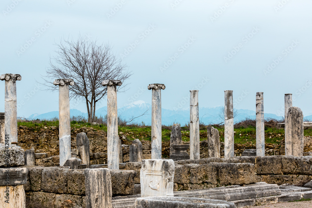 Fototapeta premium Old marble columns against the mountains in the Ancient city of Perge near Antalya, Turkey