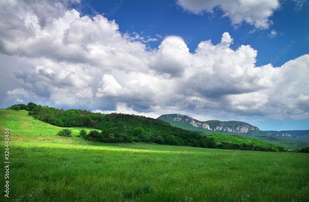 Green meadow in mountain. Composition of nature.