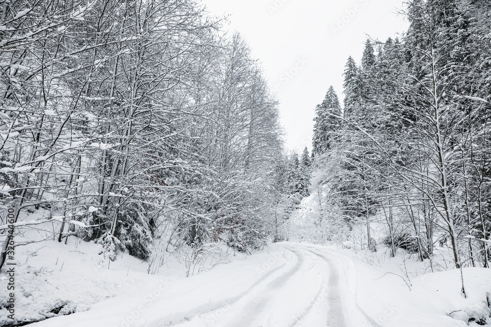 Picturesque view of road near snowy forest on winter day Picturesque view of road near snowy forest on winter day