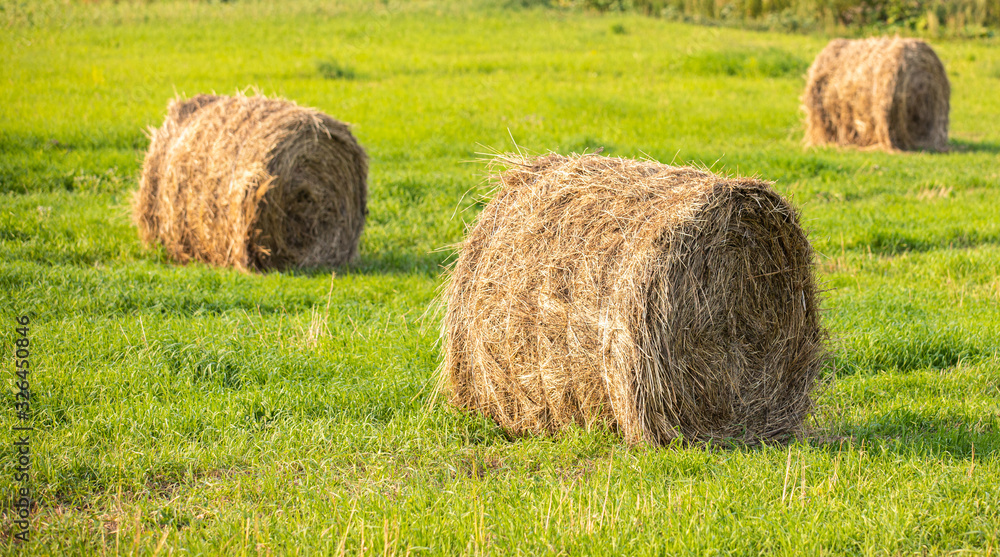 selective focus on simple Nature pattern greenfield with haystack on background selective focus on simple Nature pattern greenfield with haystack on background