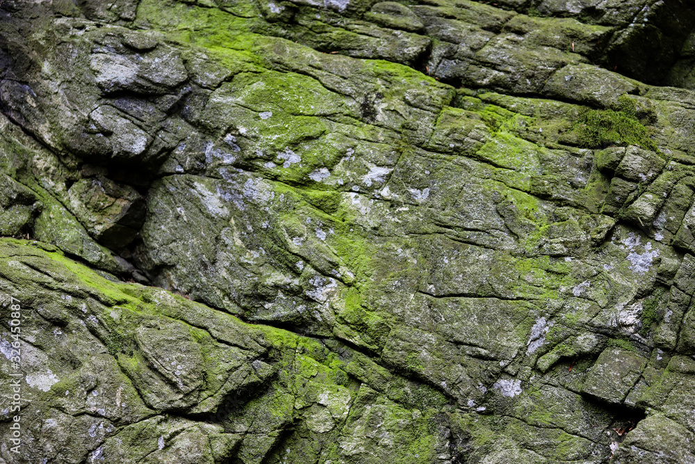 Beautiful natural stone background with green moss and lichen.