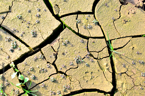 Dry lake or swamp in the process of drought and lack of rain or moisture, a global natural disaster. The cracked soil of the earth due to climate change. Hydrological drought, ccological catastrophy