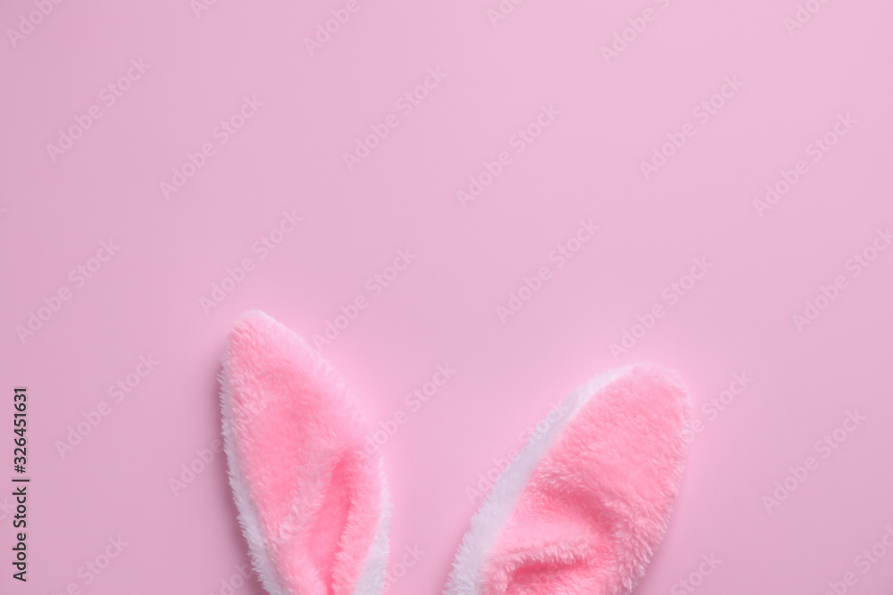 Easter bunny ears on pink background, top view. Space for text