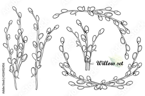 Obraz na płótnie Set with outline Willow twigs and bunch in black isolated on white background