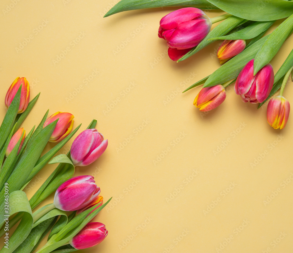 two bright fresh bouquets of pink and yellow tulips on a yellow background top and bottom two bright fresh bouquets of pink and yellow tulips on a yellow background top and bottom