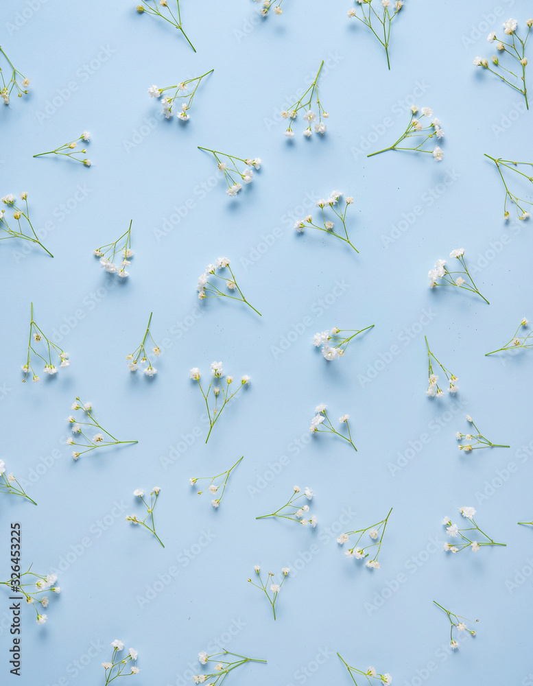 Fototapeta premium Beautiful pattern on a blue background with flowers gypsophila
