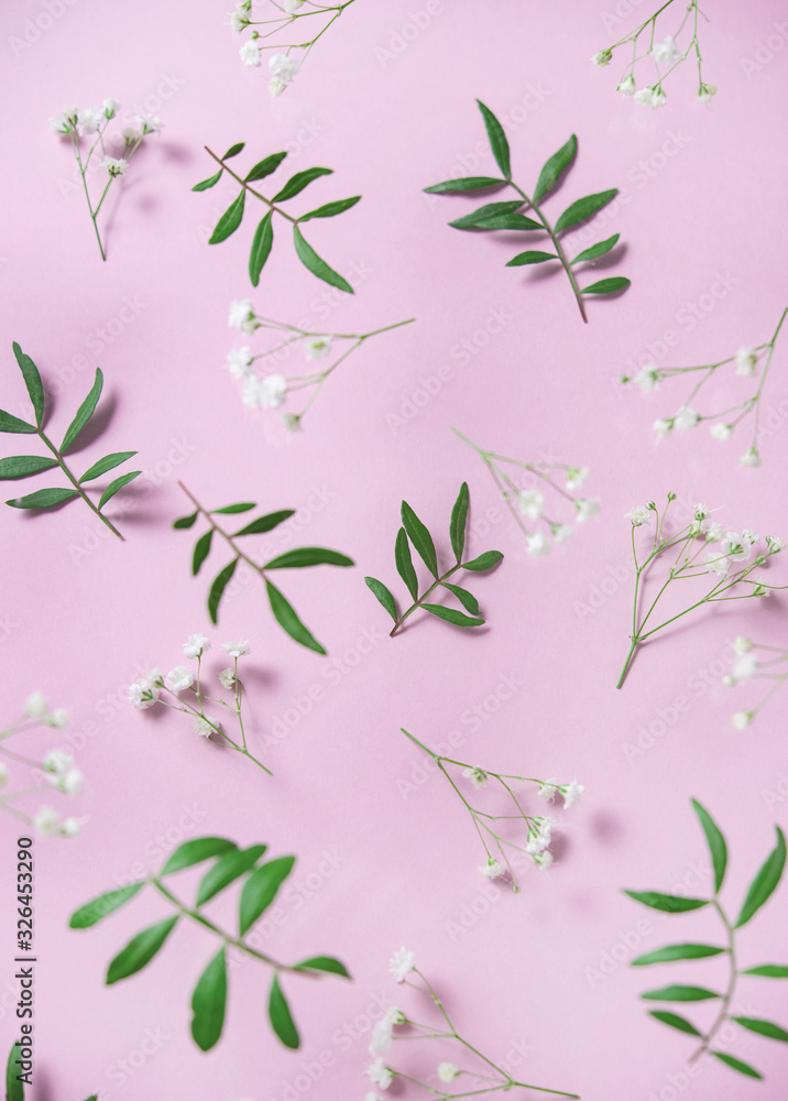 Pastel pattern on a pink background of  flowers gypsophila and  leaves of pistachio