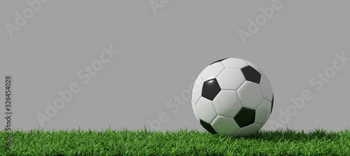 Soccer Ball on grass side view. 3D Render