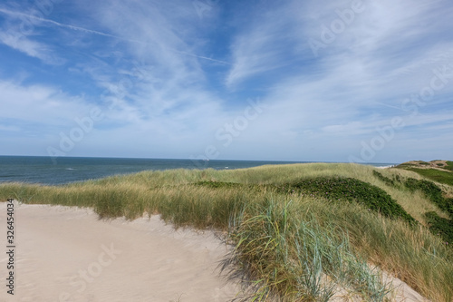 Fototapeta Naklejka Na Ścianę i Meble -  Typische nordische Dünenlandschaft in der Nähe des Strandes mit Blick auf das Meer -  selektiver Fokus