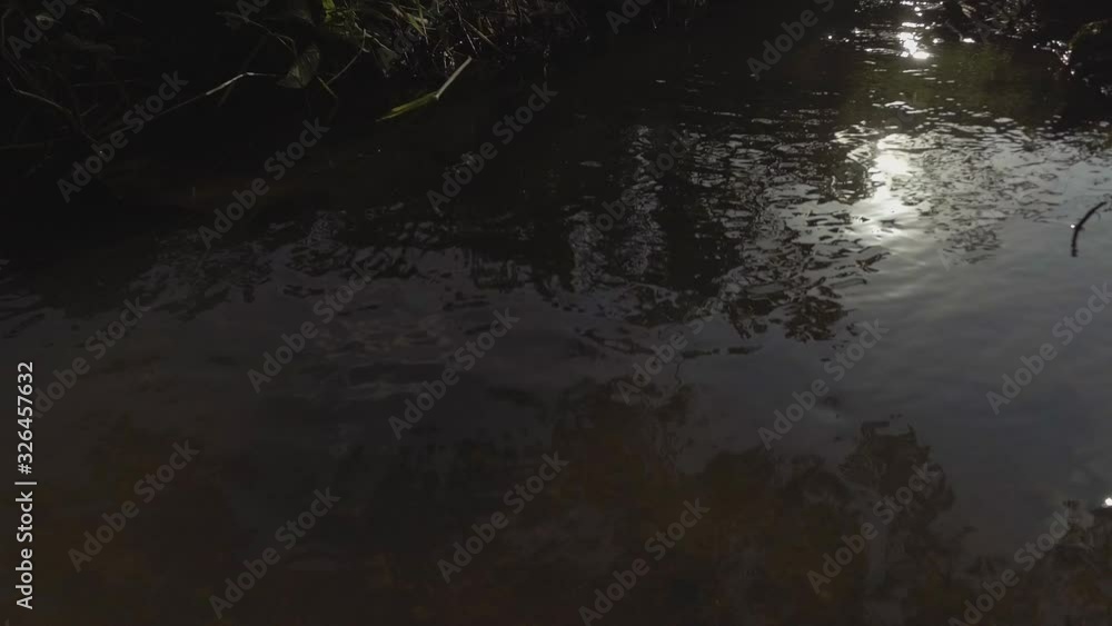 reflection of sunlight in the flowing river water reflection of sunlight in the flowing river water