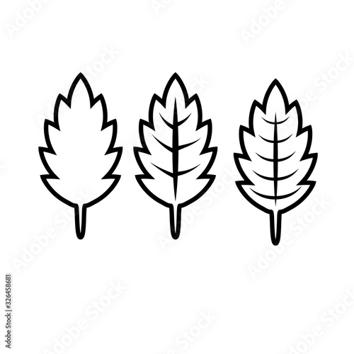 Set of leaves isolated on a white background.Contour drawing.Leaves with veins.Botanical illustration.Vector
