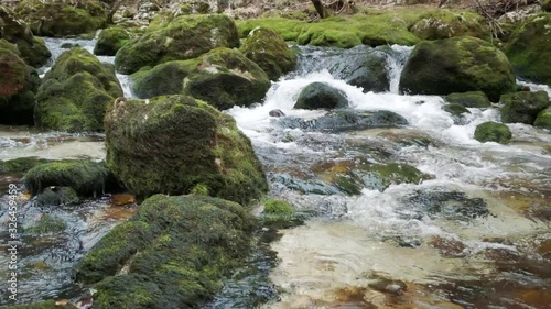 Izvir Bistrice the natural source of Bohinj River. The stream flowing through the Bohinjska Bistrica river gets its water from the lower Bohinj mountains. photo