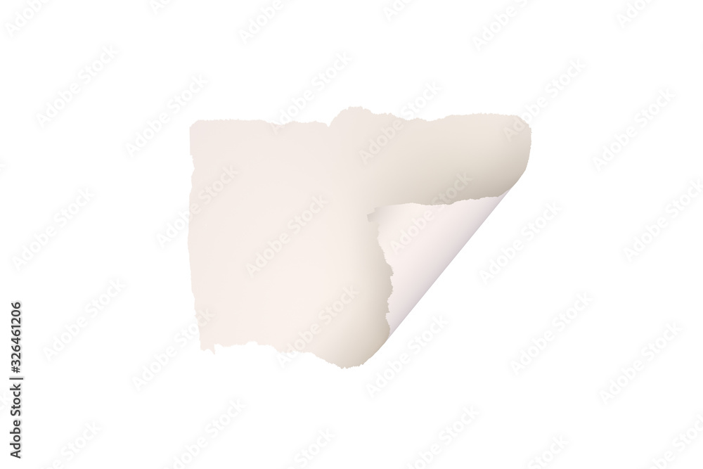 3D Rendering of Little Torned Paper on White