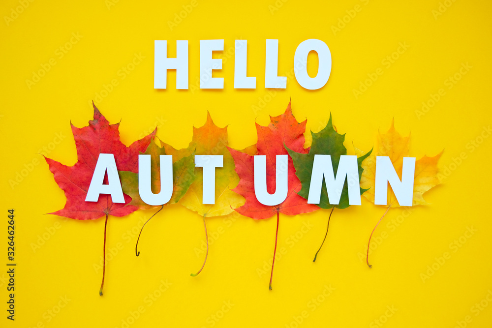 Obraz premium Leaves of paper fall red, orange, yellow leaf fall. Autumn concept