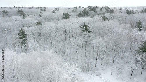 Wallpaper Mural Snow frosted forest after Winter blizzard, treetop aerial view. Torontodigital.ca