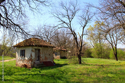 an old abandoned house in the green © Suzana