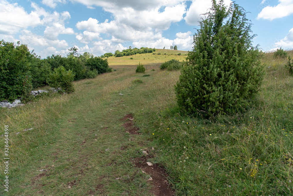 Fototapeta premium Nature Reserve Uvac