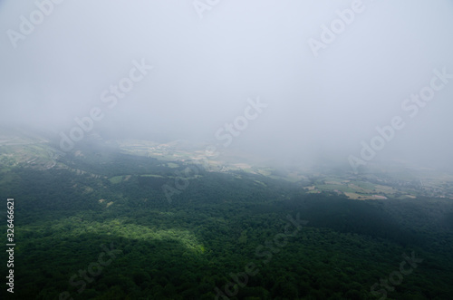 green fields among the fog in a valley whit forest.