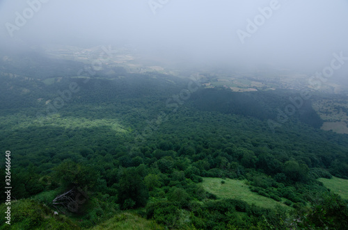 green fields among the fog in a valley with a forest and many trees