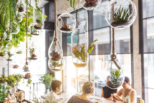 Decorated green plant in many forms of glass jars that hanging with rope from the ceiling with plants. Modern interior restaurant decoration and atmosphere.