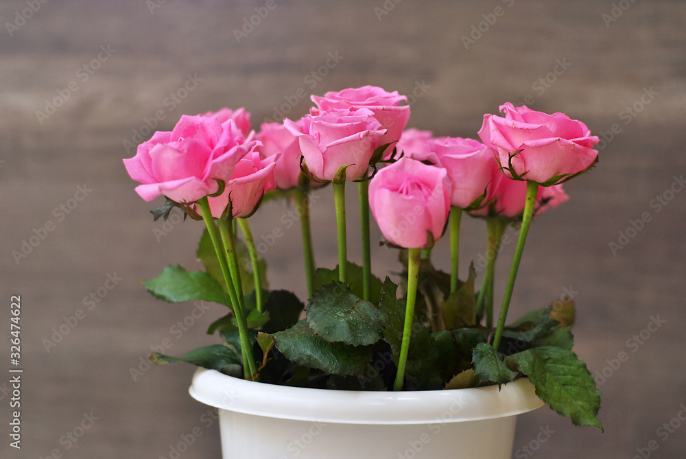Beautiful lush bouquet of pink roses flowers on the wooden background. Stylish floristic composition in the long vertical vase. Spring time and holidays concept, interiors decorating