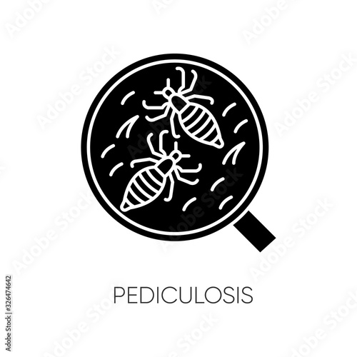 Pediculosis black glyph icon. Contagious medical problem, epidemic disease, head lice silhouette symbol on white space. Tiny insects under magnifying glass Vector isolated illustration