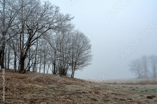 Fototapeta Naklejka Na Ścianę i Meble -  Łagodna zima na Podlasiu. Dolina Narwi. Krajobraz z mgłą i szronem. Polska