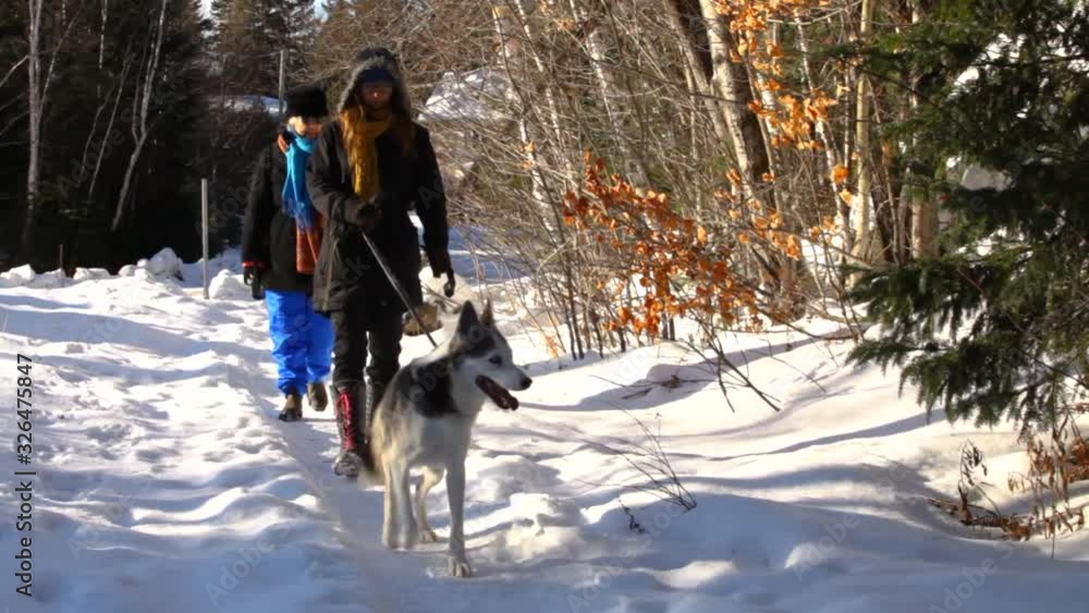 Old woman and younger girl walking in the street with alaskan husky dog in wintertime on sunny day - fixed angle