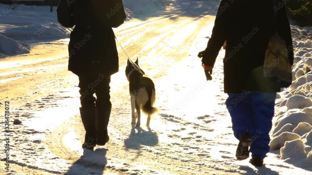  Old woman and younger girl walking in the street with alaskan husky dog in wintertime, flooded by sun flares - traveling up