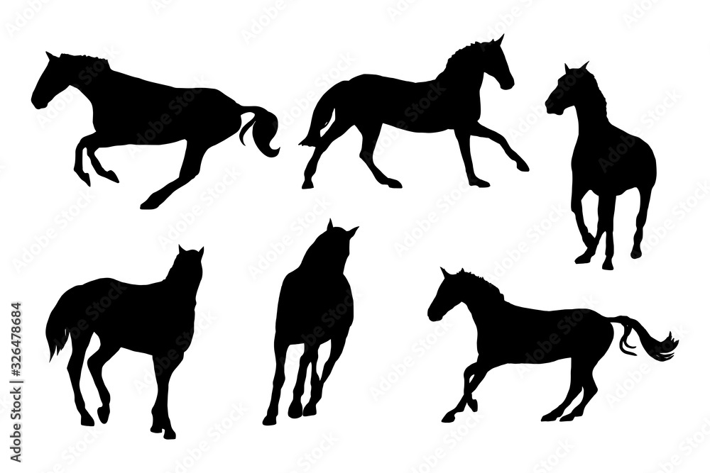 Race horses silhouettes kit. Clip art set on white background..