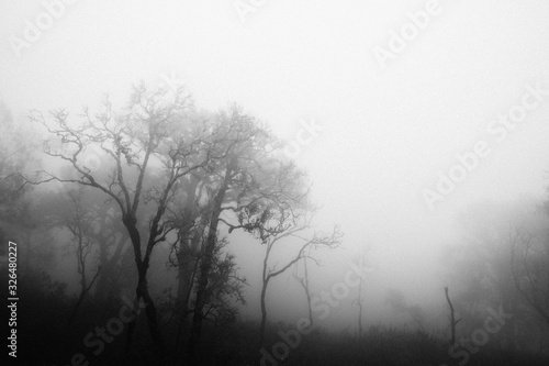 Impressions while hiking up to rinjani summit