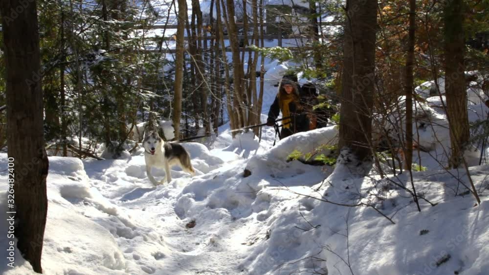 Old woman and younger girl walking in the forest with alaskan husky dog, having a hard time climbing the snowy path in wintertime - fixed angle