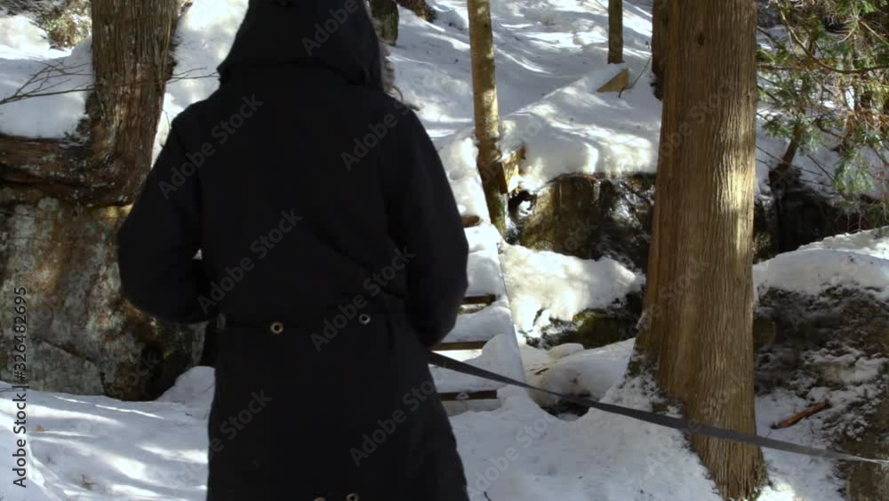  Old woman and younger girl walking in the forest with alaskan husky dog, climbing the snowy stairs in wintertime - fixed angle