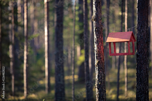 birdhouse in the woods. birdhouse among the pine forest