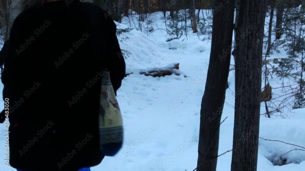 Old woman and younger girl walking in the forest with alaskan husky dog in wintertime - traveling up