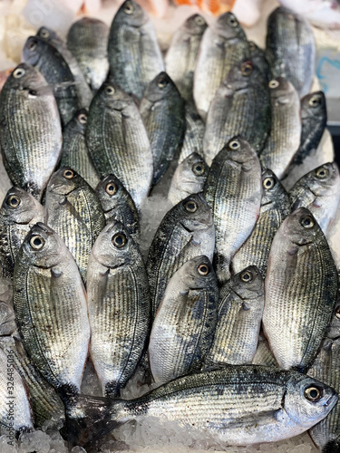 Assortment of fresh sea fish on the counter. The tourist's impression of the abundance of fresh food. The concept of fish diversity in the market photo