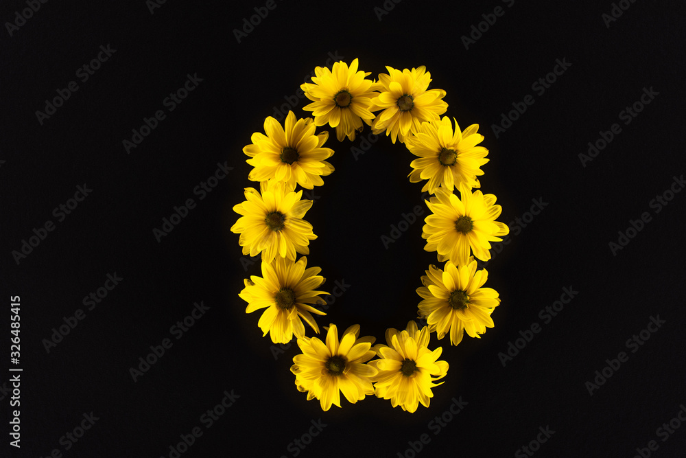 top view of yellow daisies arranged in letter O isolated on black top view of yellow daisies arranged in letter O isolated on black
