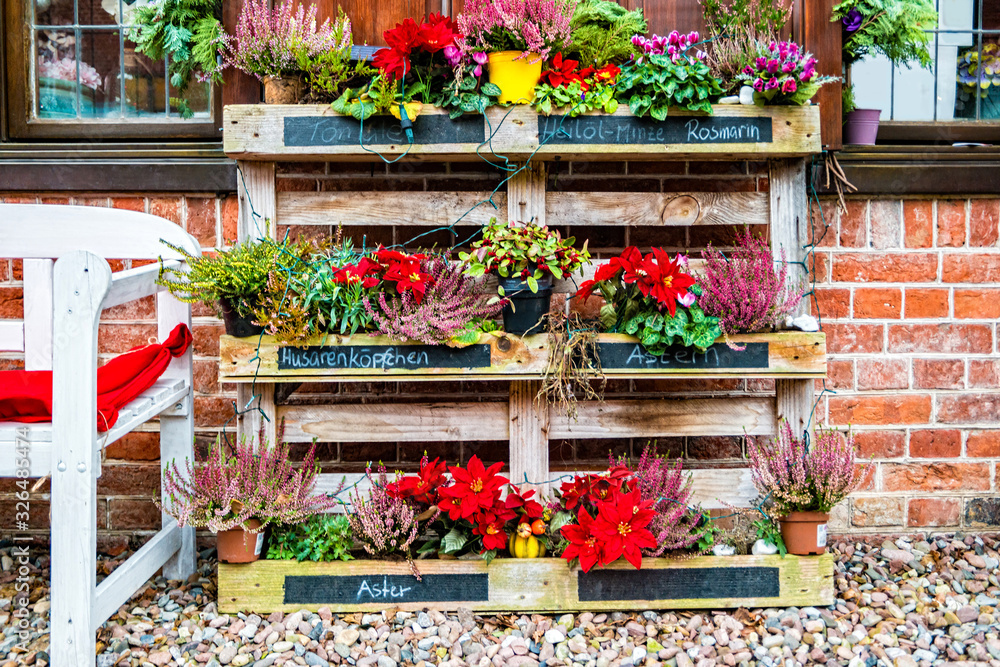 Naklejka premium Flower shop in the Dutch Quarter in Potsdam, Germany