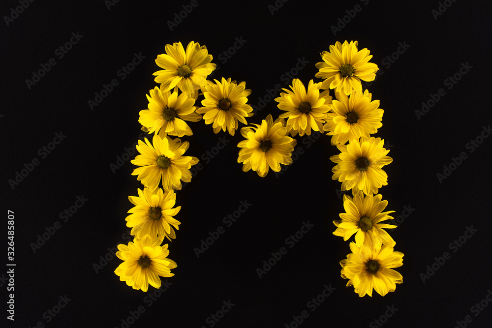 top view of yellow daisies arranged in letter M isolated on black