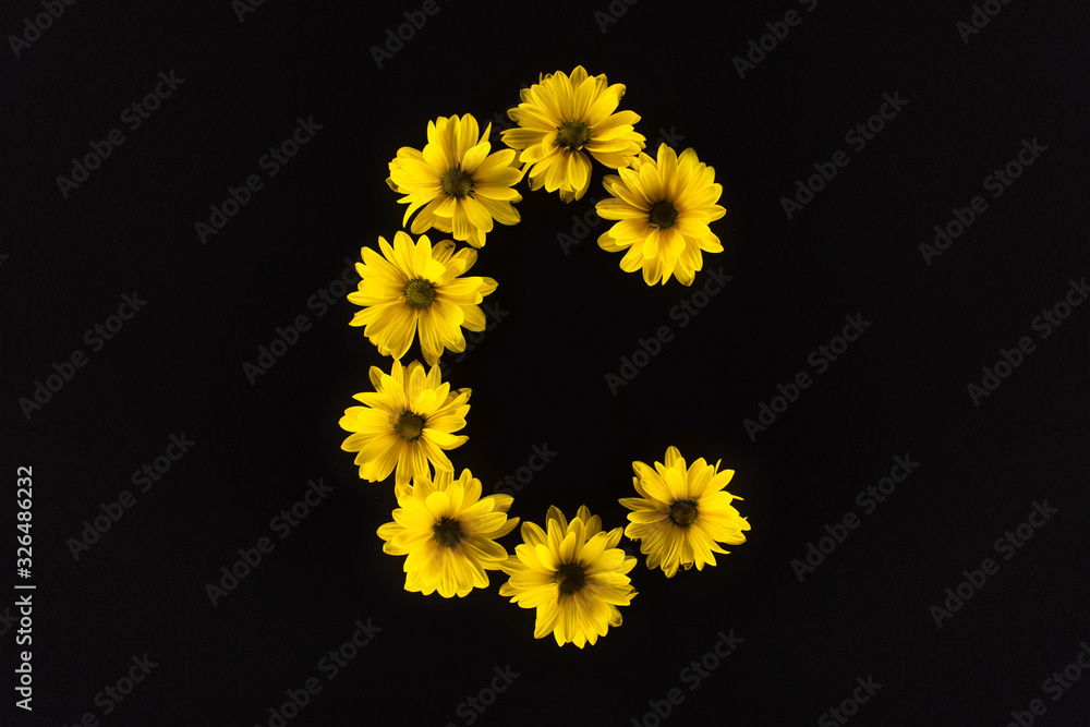 Top view of yellow daisies arranged in letter C isolated on black Top view of yellow daisies arranged in letter C isolated on black