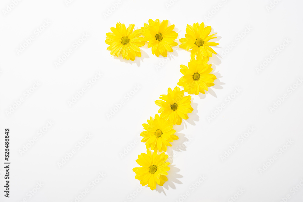 top view of yellow daisies arranged in number 7 on white background top view of yellow daisies arranged in number 7 on white background