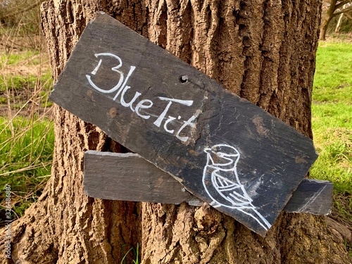 Slate sign with the word Blue Tit and an illustration of a bird. The sign is nailed to a chopped in half tree trunk set against a grass background. Mitcham, England photo