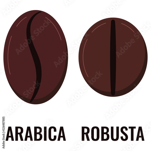 Arabica, robusta types of coffee grains icon set isolated on white background.