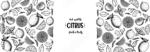 Lemon hand drawn vector illustration. Lemon sketch for design. Black and white style. Citrus lemon pattern illustration. Lemon packaging design.