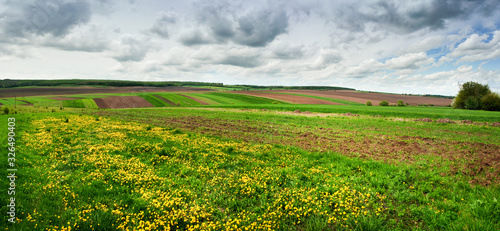 spring panoramic shot with pieces of agricultural land and dandelion meadow