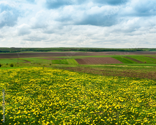 spring panoramic shot with pieces of agricultural land and dandelion meadow