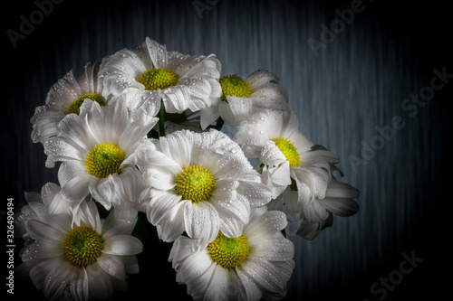 bouquet of daisies  with water droplets  on a colorful background