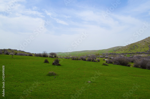 landscape with green field and blue sky